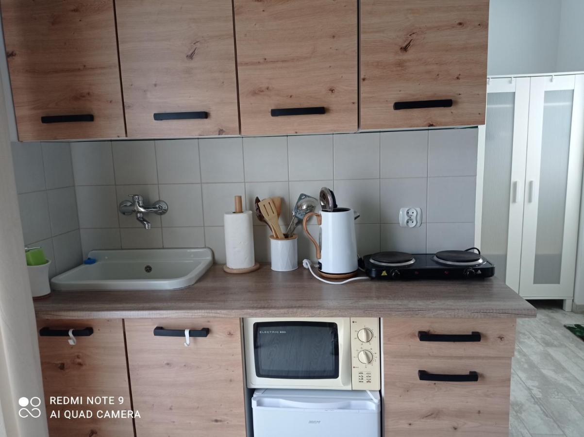Studio Lesne Любневице Экстерьер фото