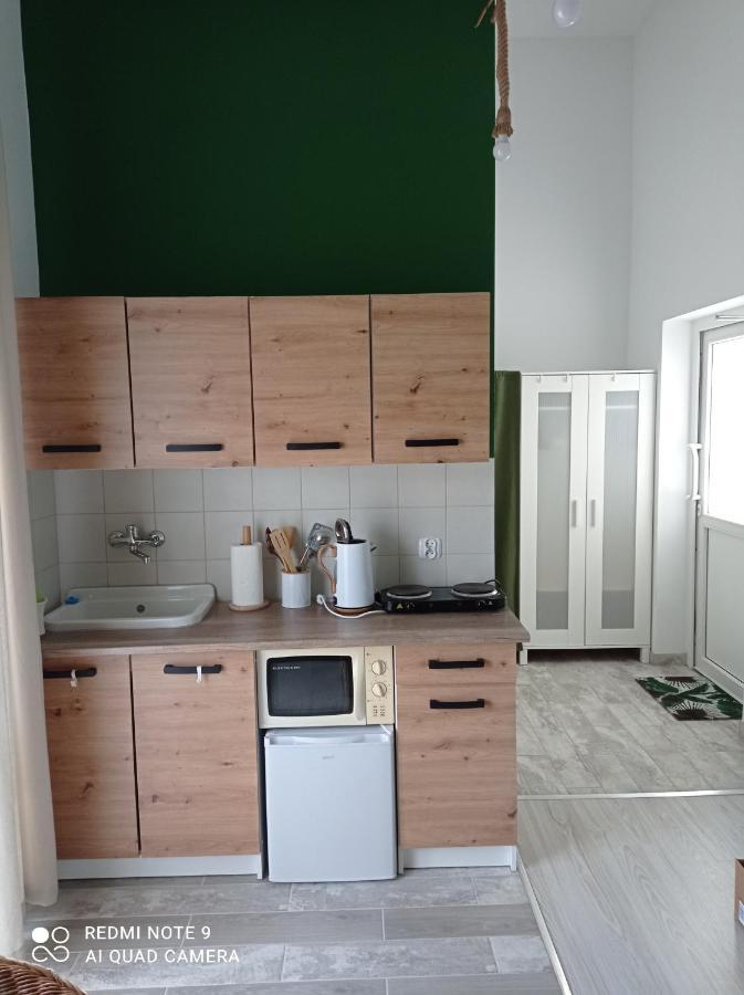 Studio Lesne Любневице Экстерьер фото